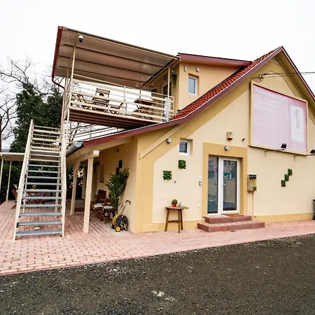 Palmy * Dunakeszi